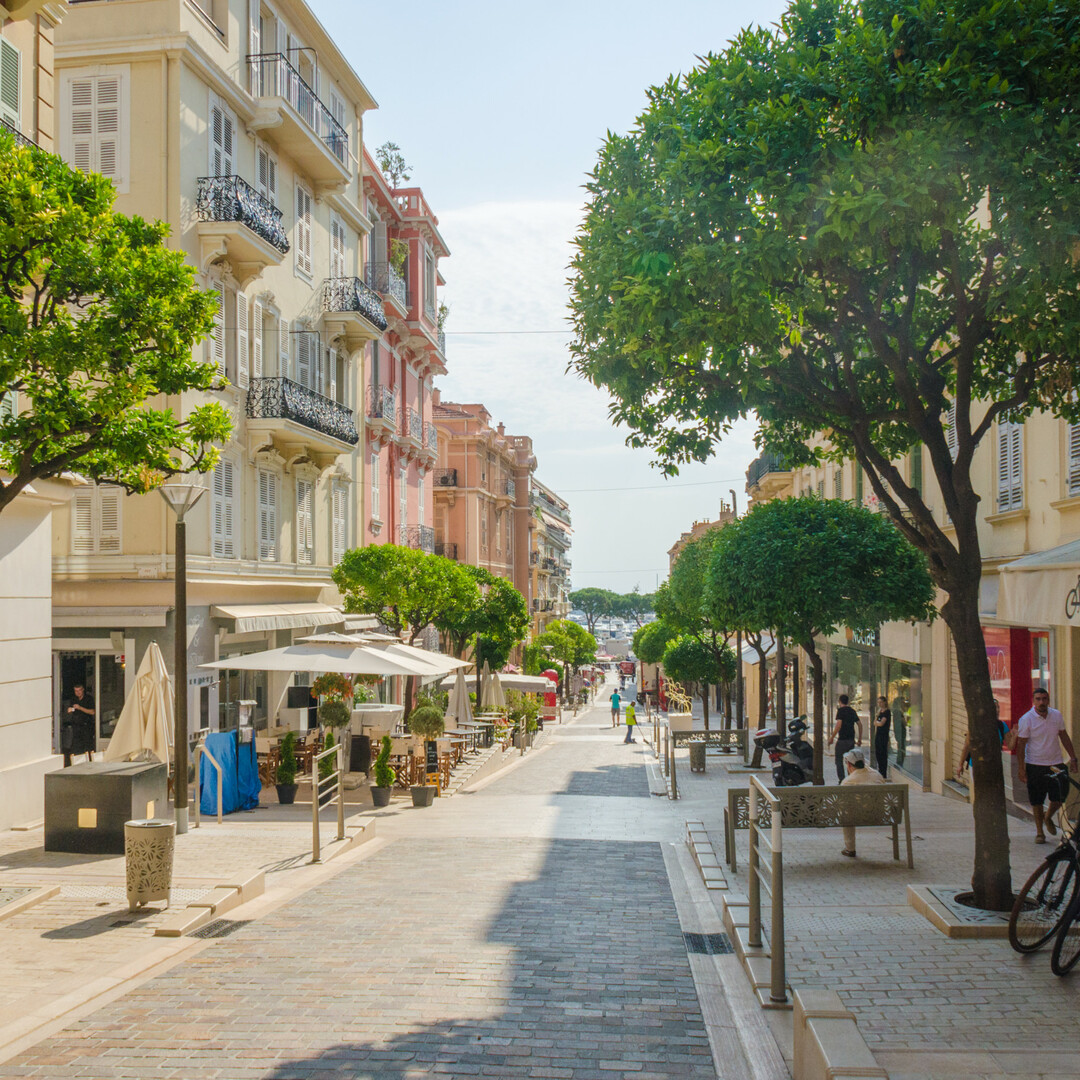 Bel appartement rue Princesse Caroline